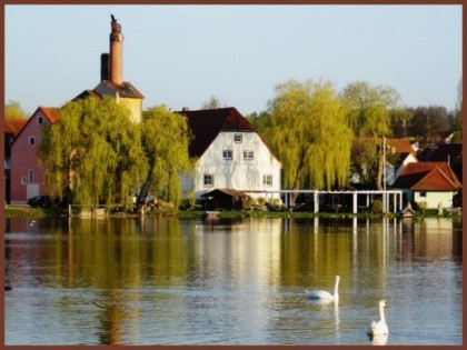 Foto: Windfelder am See